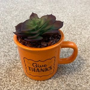 Thanksgiving Succulent